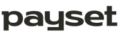 Payset.io logo